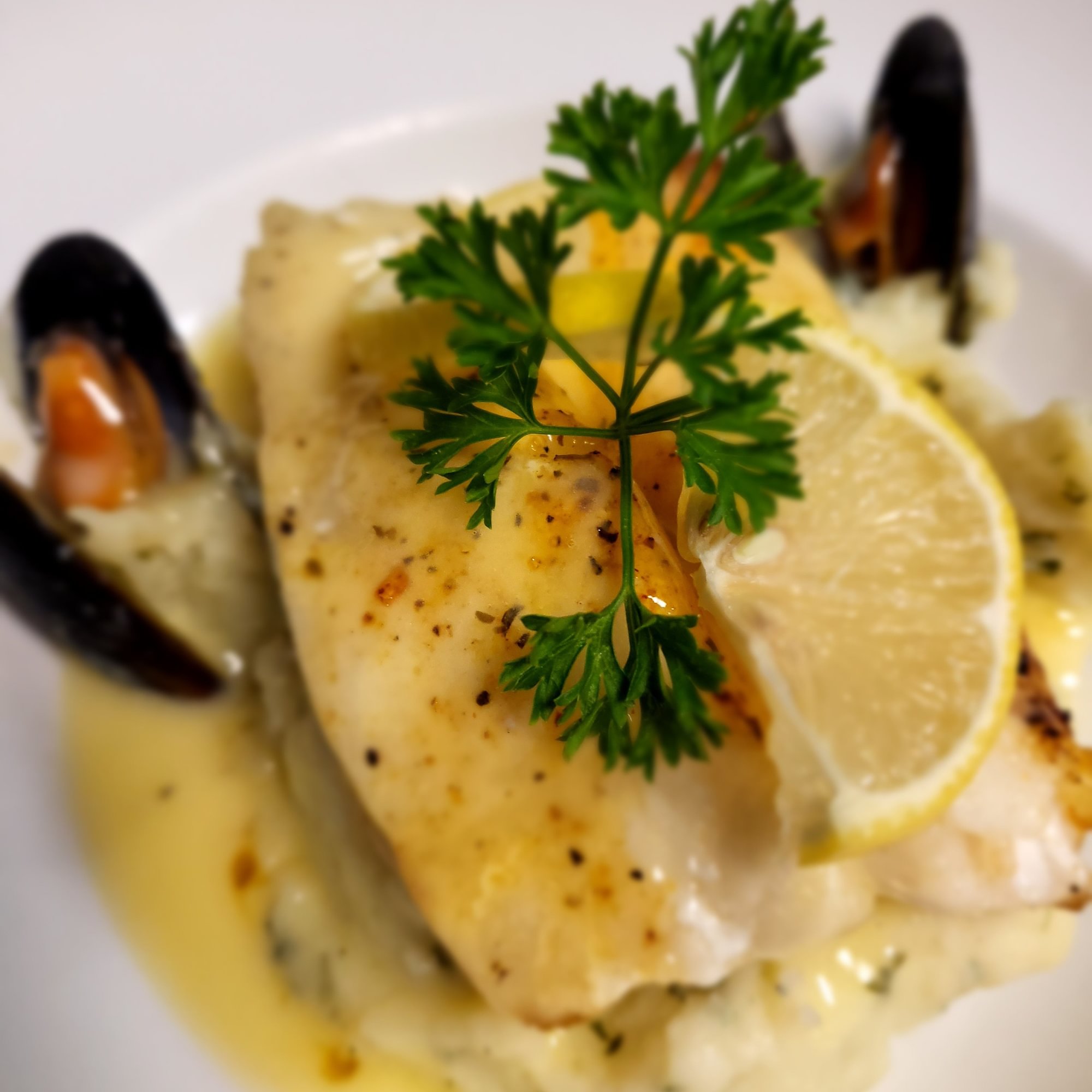 Sea bass