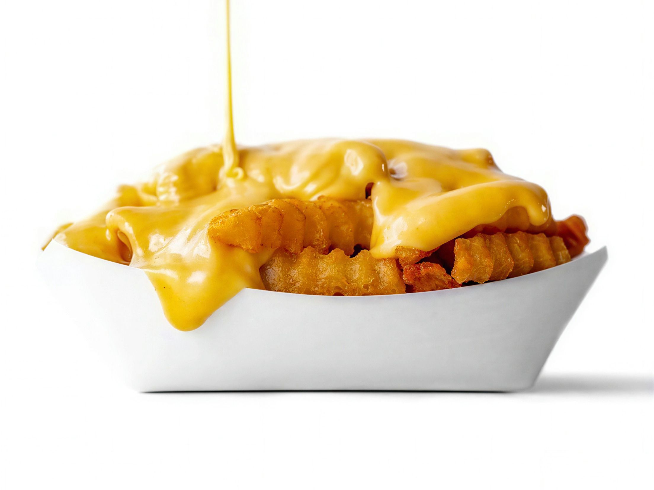 Cheese Fries