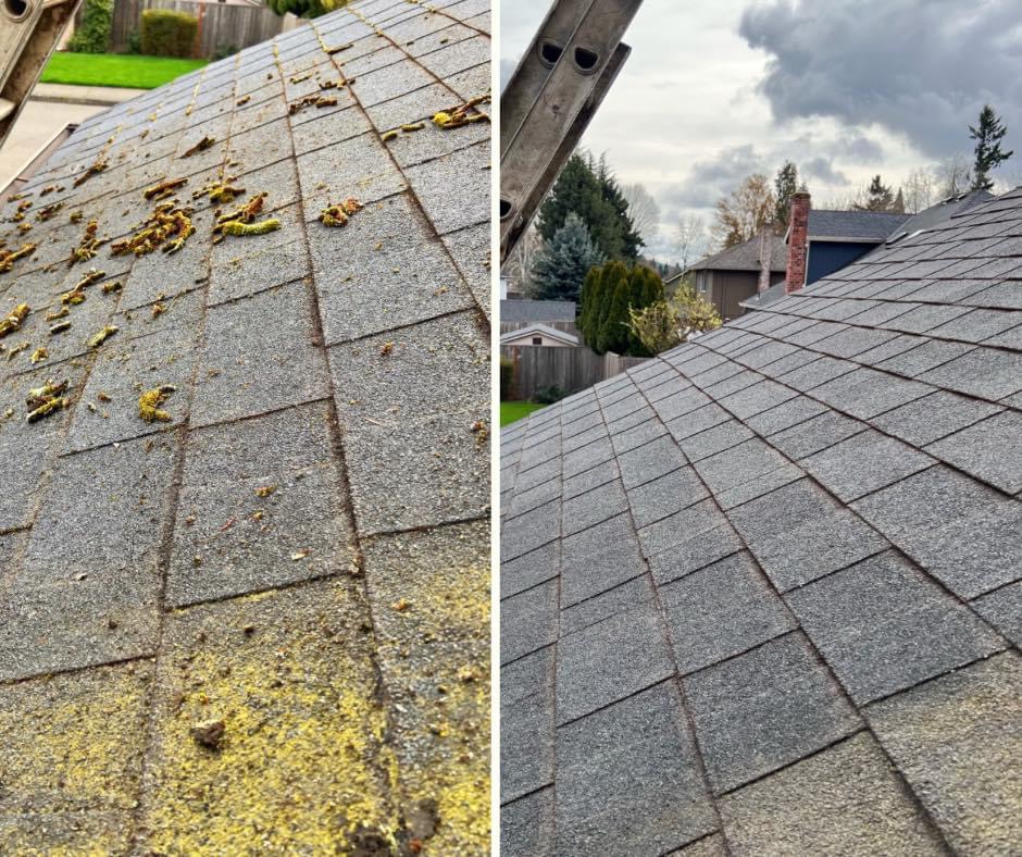 Portlandscaping Image