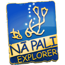 Adventure X Boat Tours Waimea Hi Adventure X Boat Tours Waimea Hi