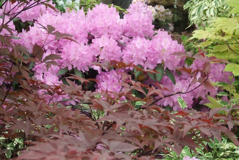 Foto's Abbing Tuincentrum/Tuinaanleg