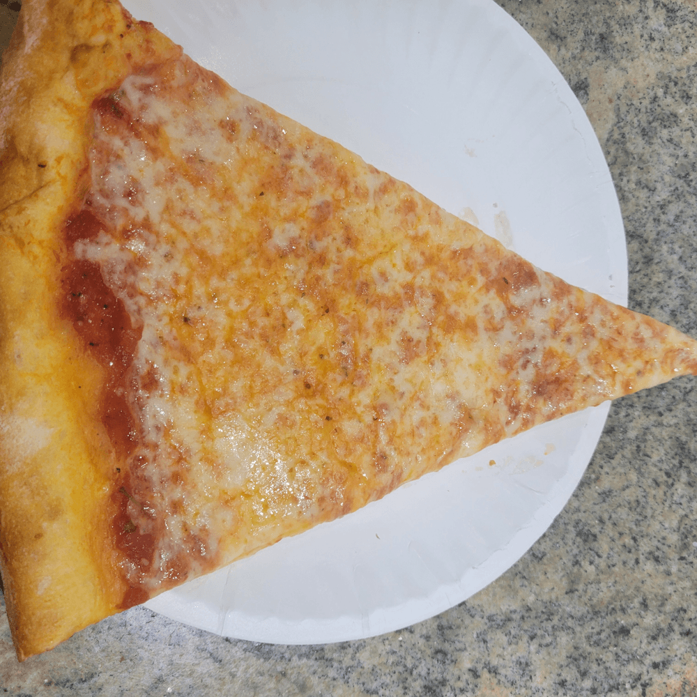 Reg Slice