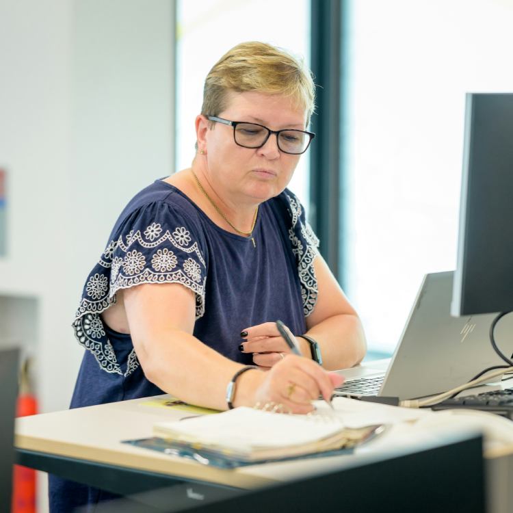 Galería en miniatura