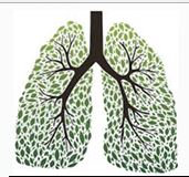 COPD Respiratory & Mobility Solutions Photo