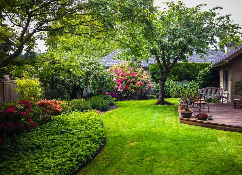 A-Serna Landscaping