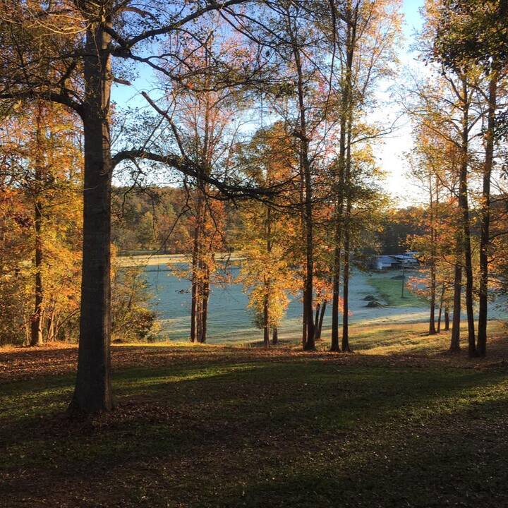 Josh's Tree Service Logo