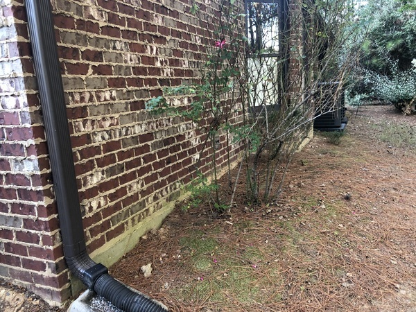 Ox Foundation Solutions Image