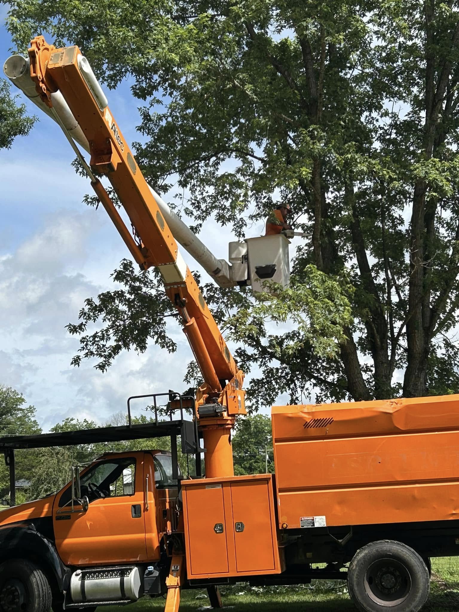 Area Tree Service LLC Image