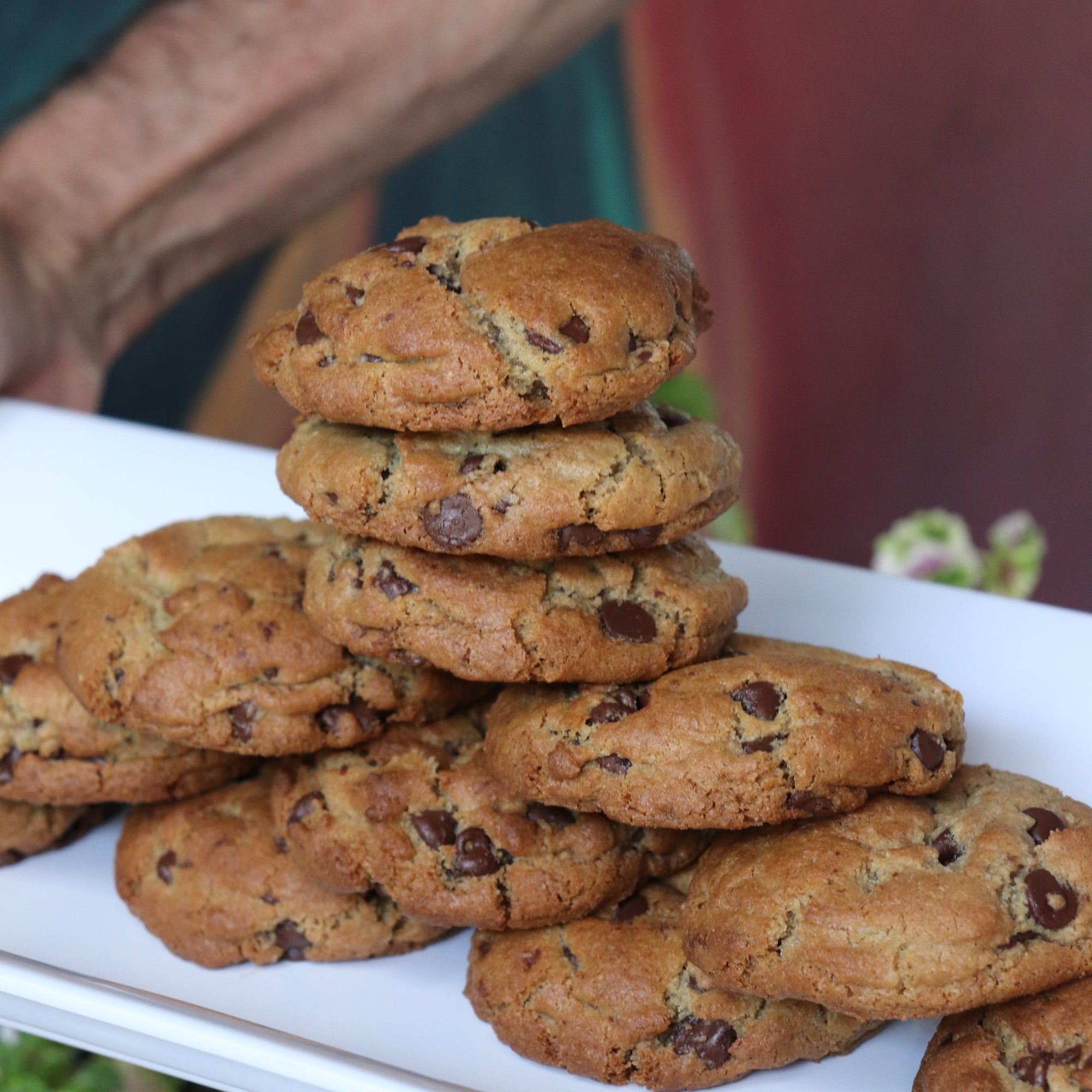 GF Chocolate Chip Cookie W/ Walnuts