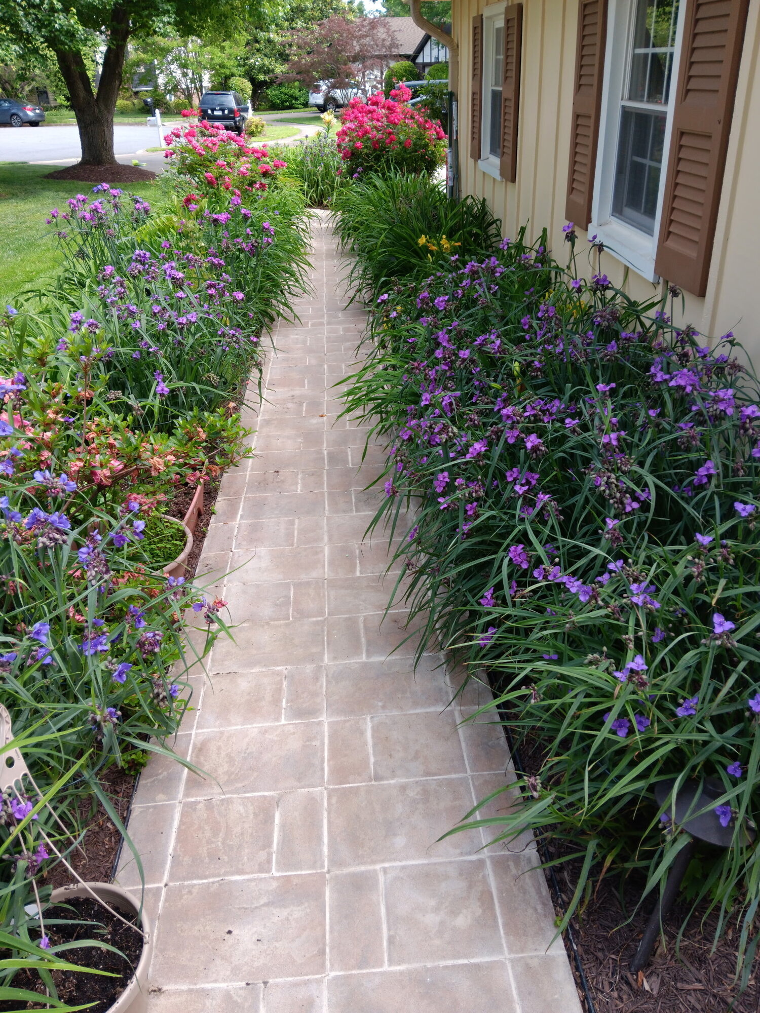 Barrys carpentry Image