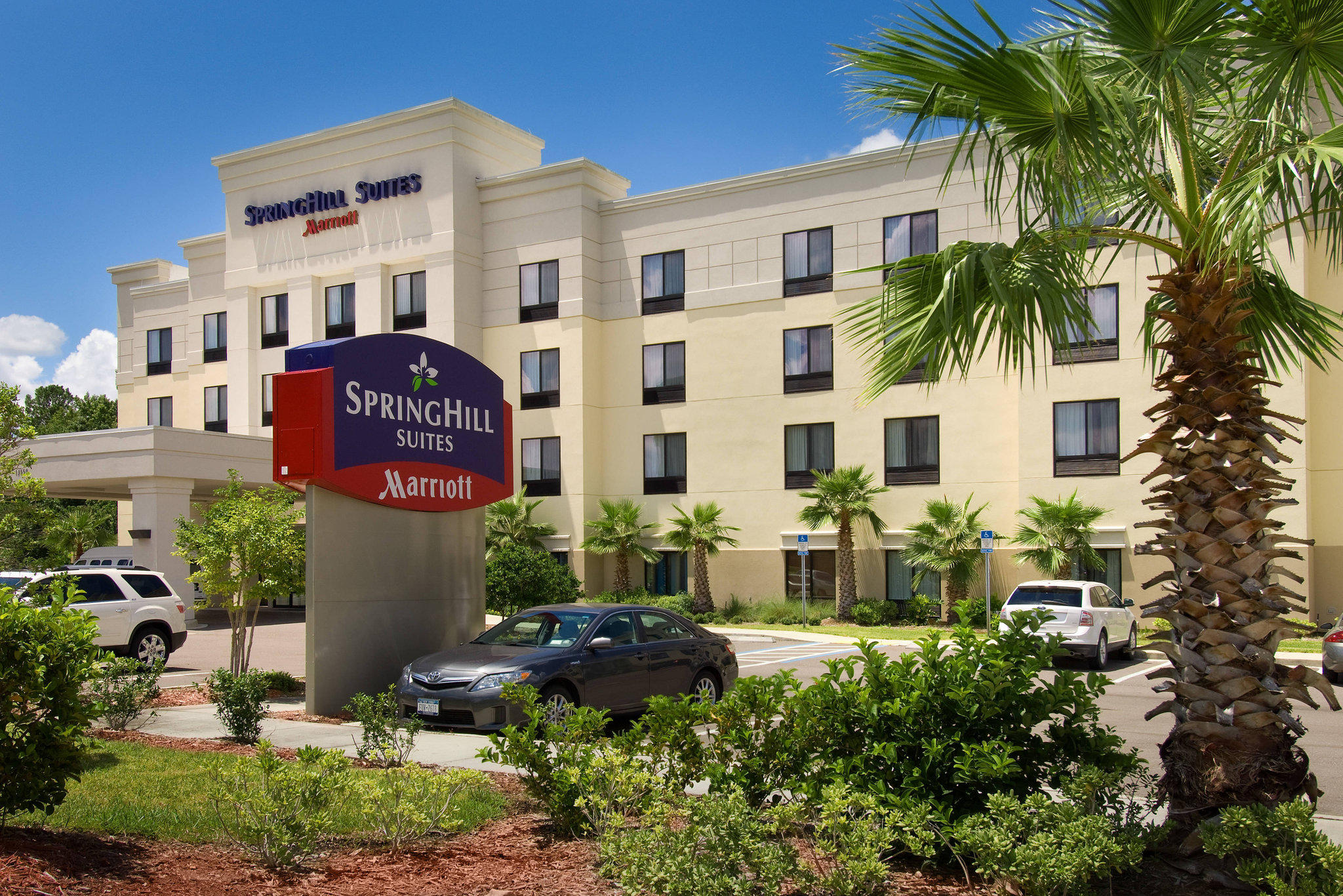 SpringHill Suites by Marriott Jacksonville Airport Photo