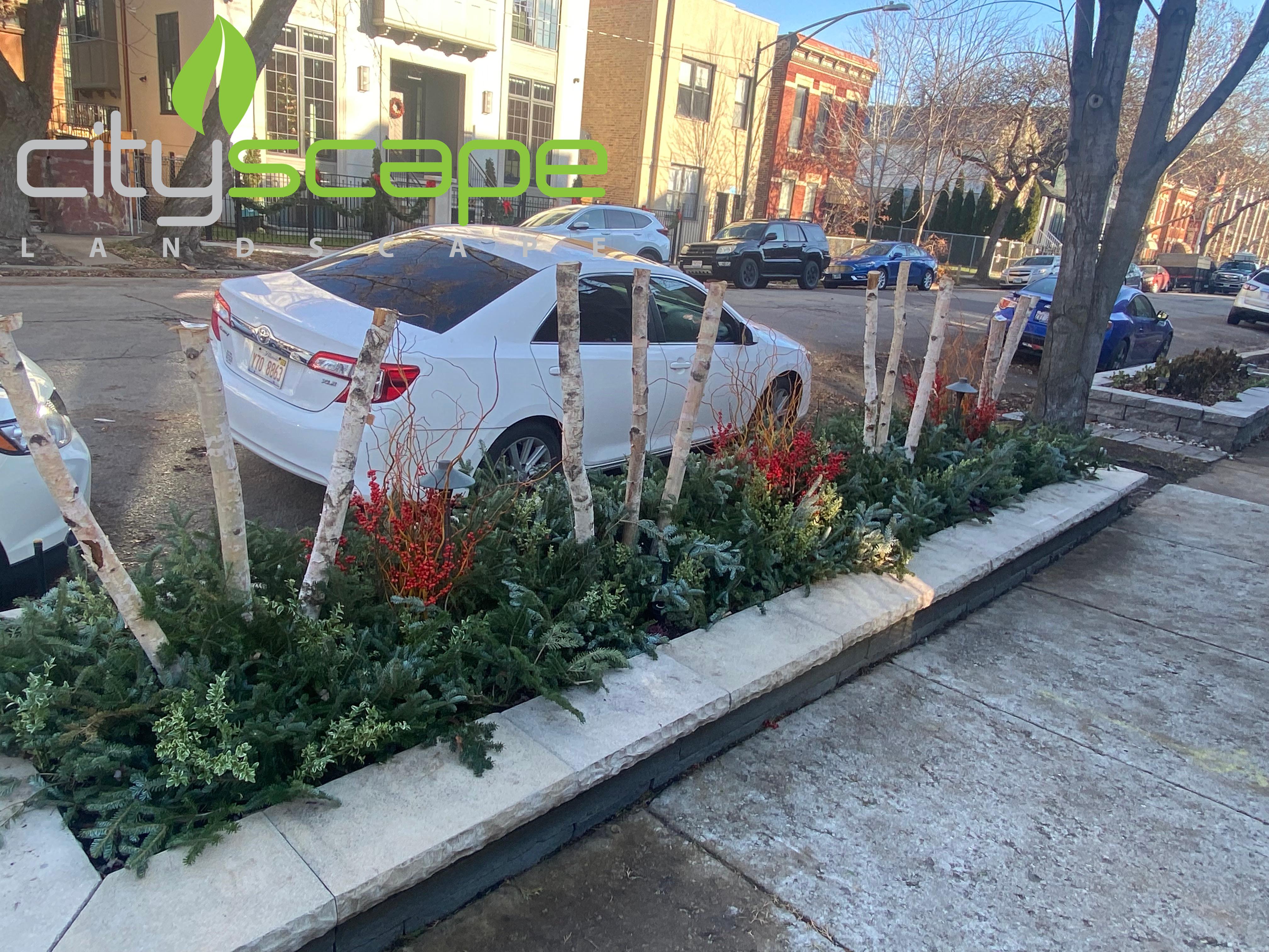 Cityscape Landscape Image