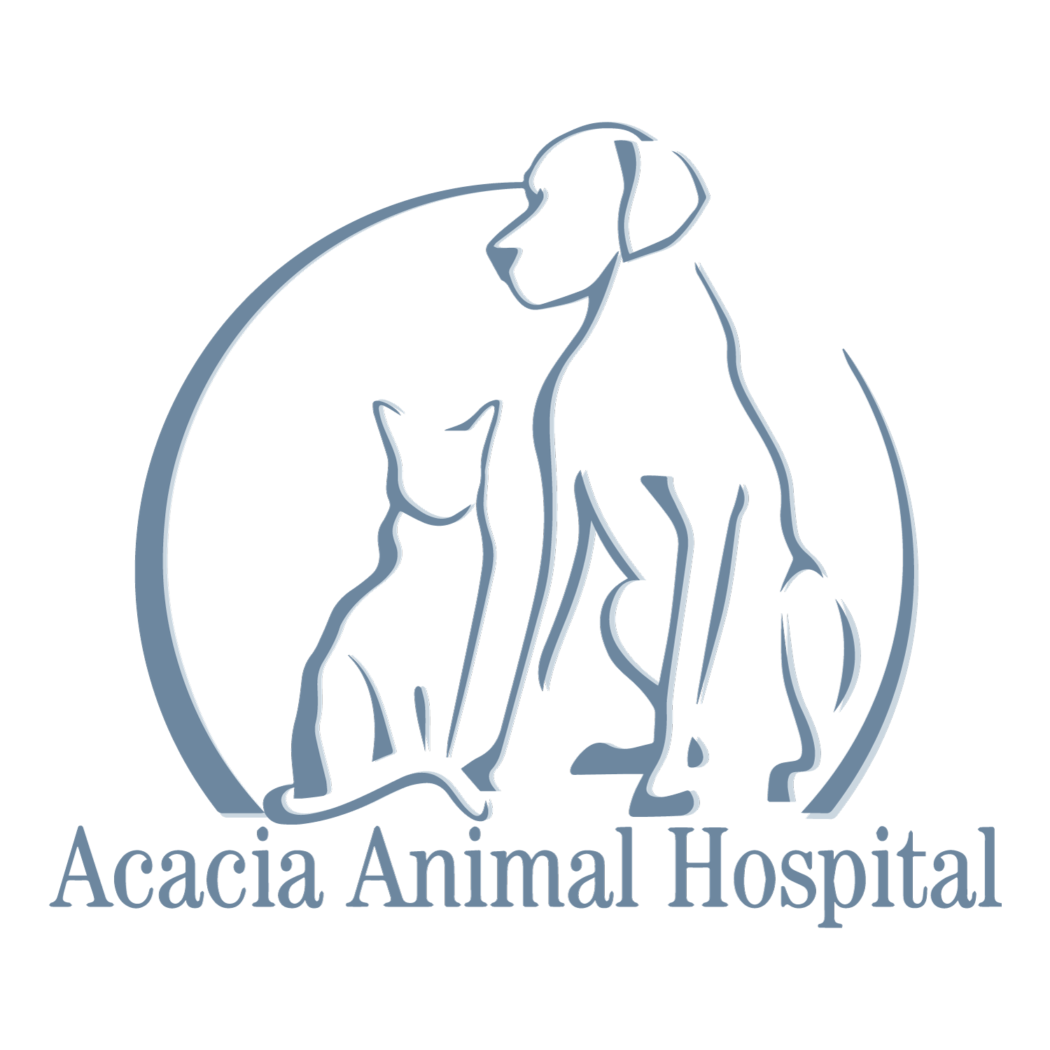 Veterinarian in Pompano Beach, FL | Acacia Animal Hospital