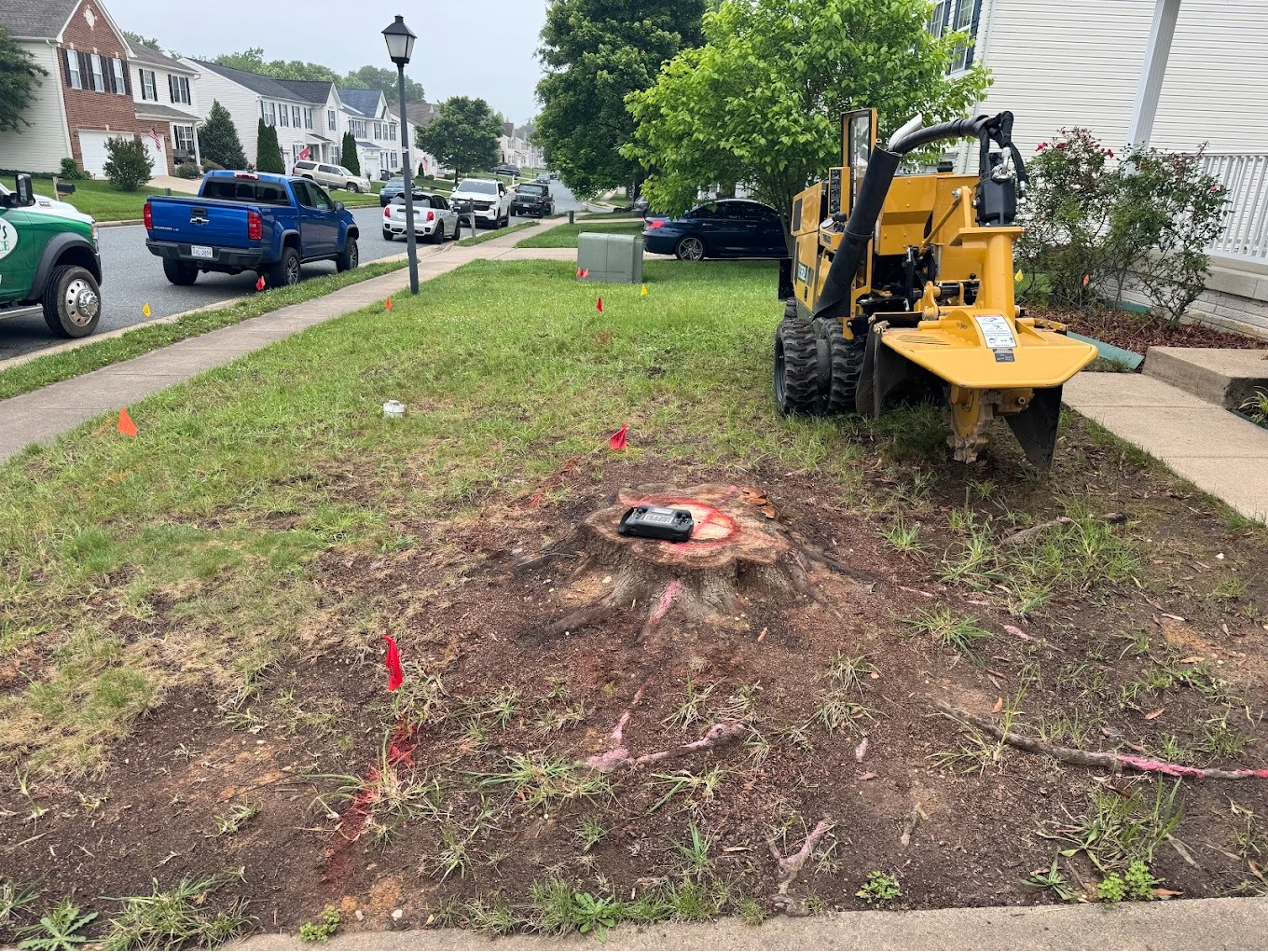 Branson's Tree Service Image