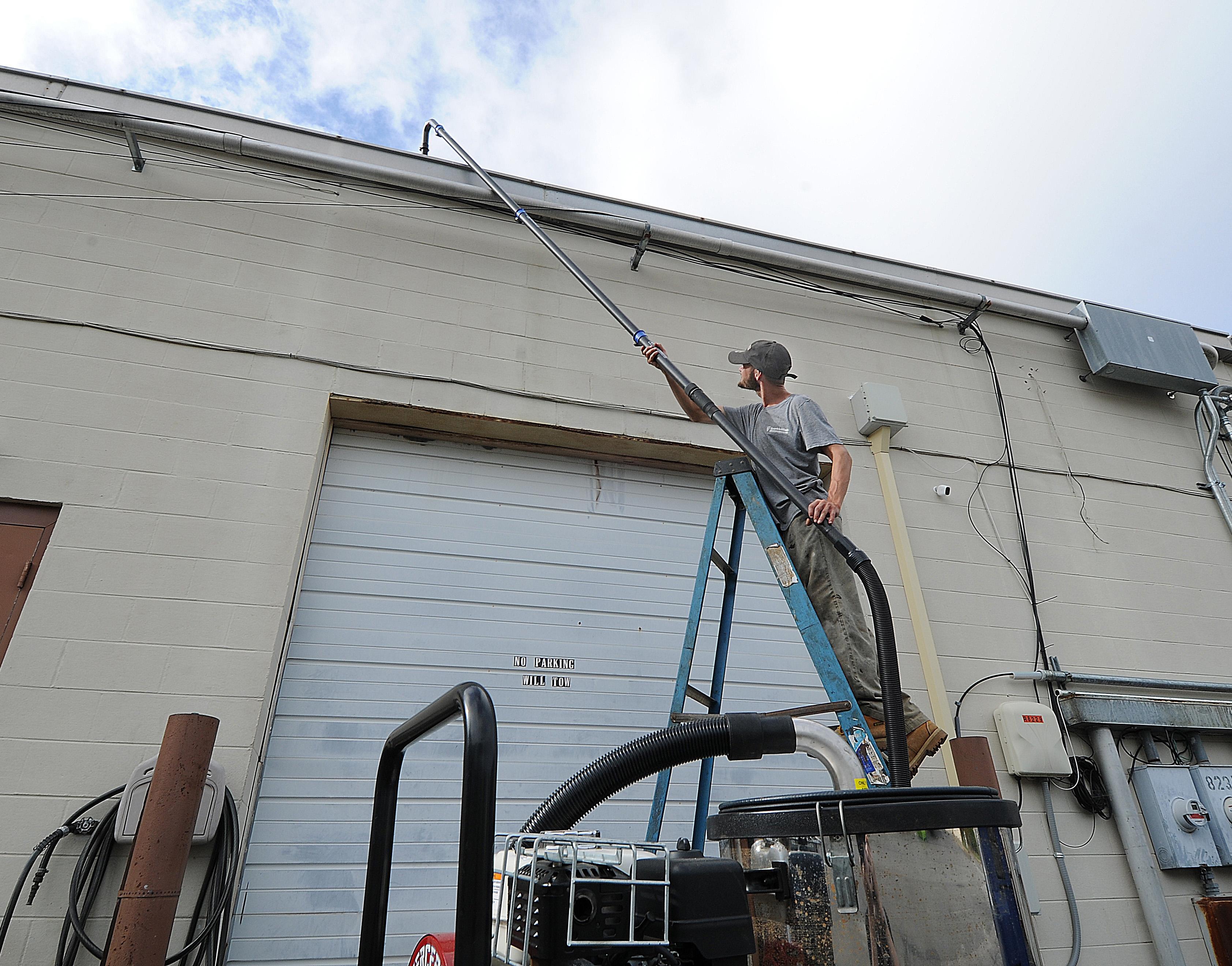 Evergreen Cleaning Image