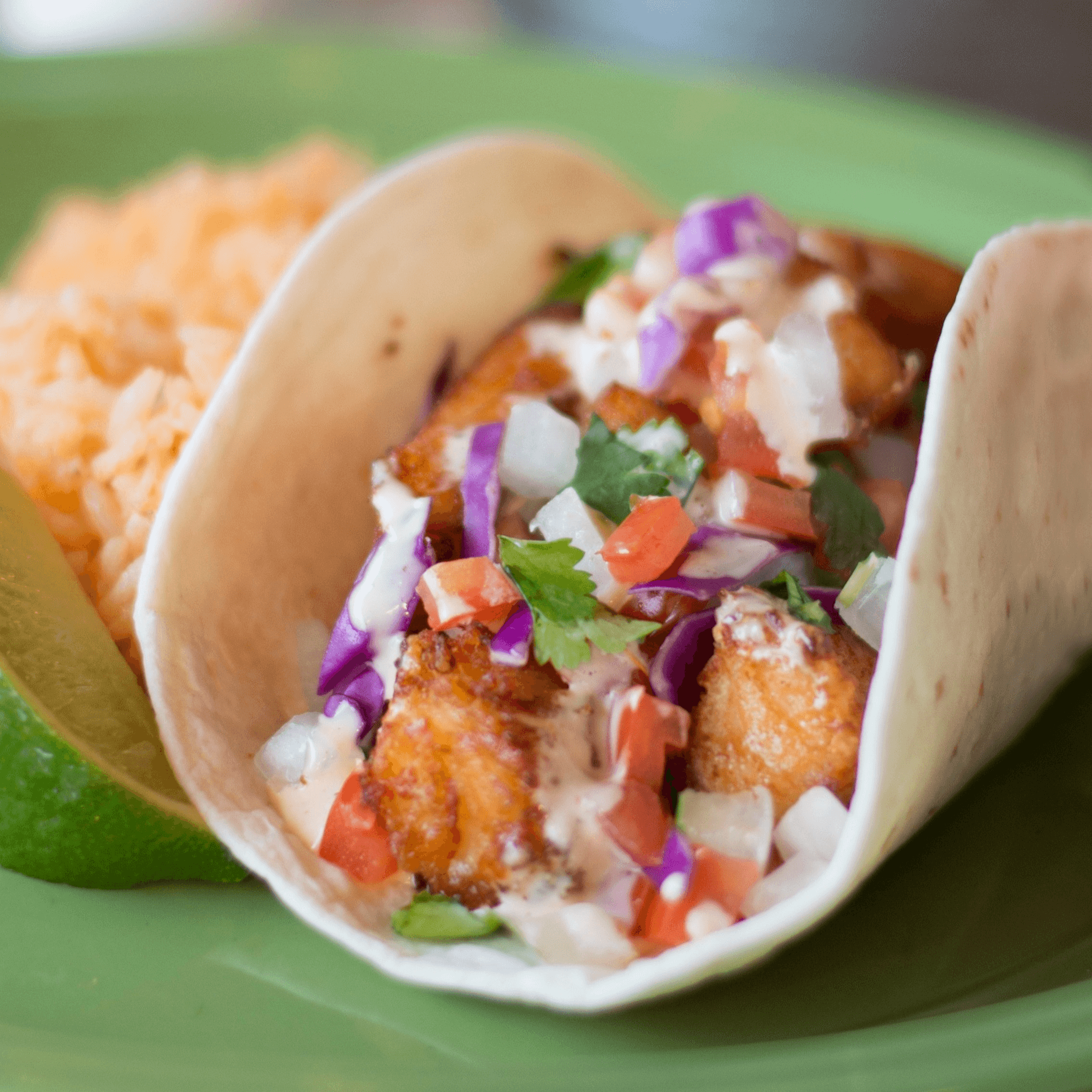 Solo Taco (s)