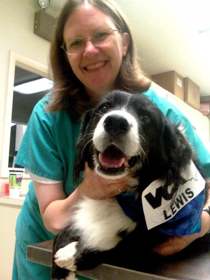 VCA Lewis Animal Hospital Photo