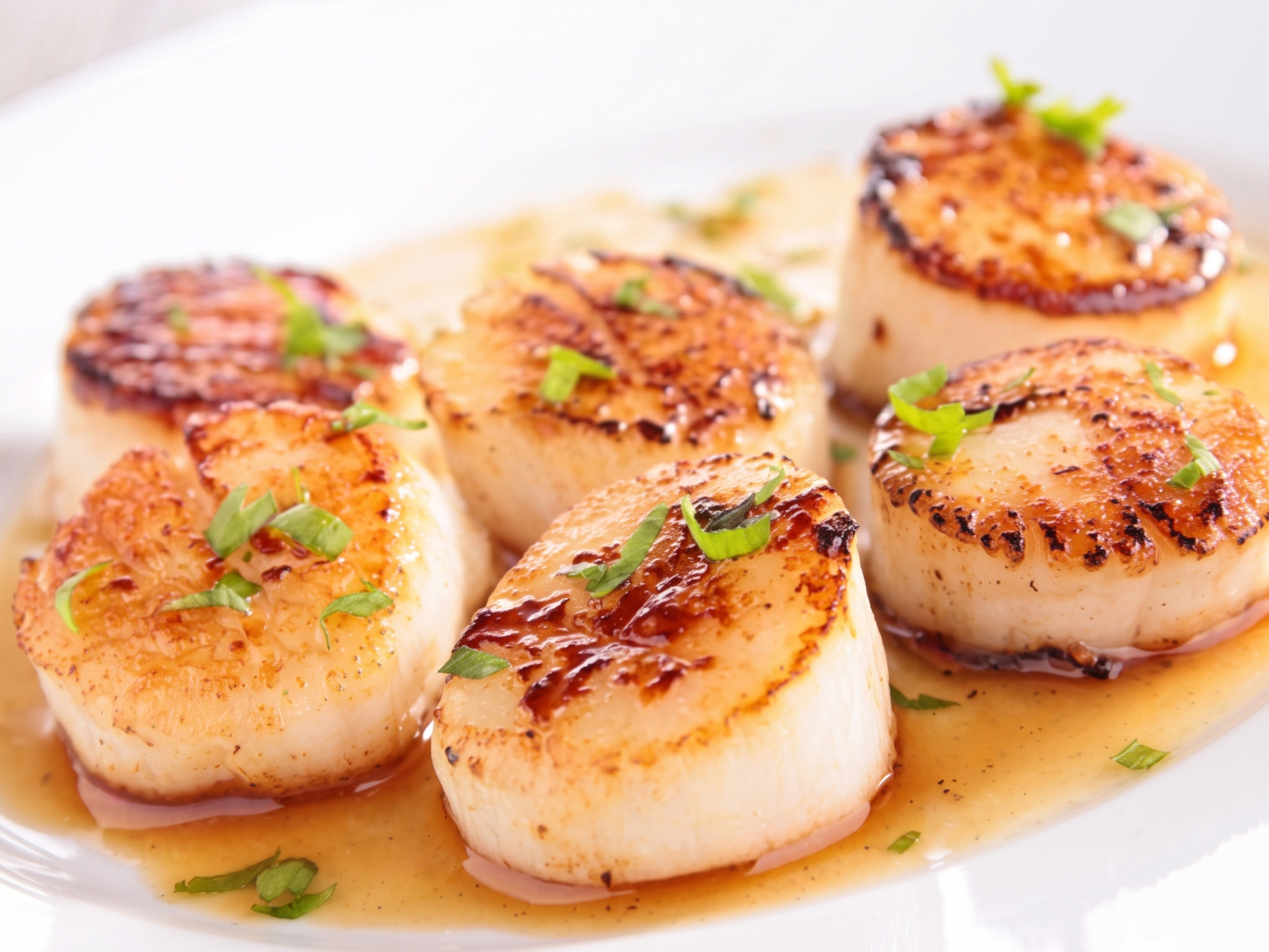 1/2 Lb. Scallops