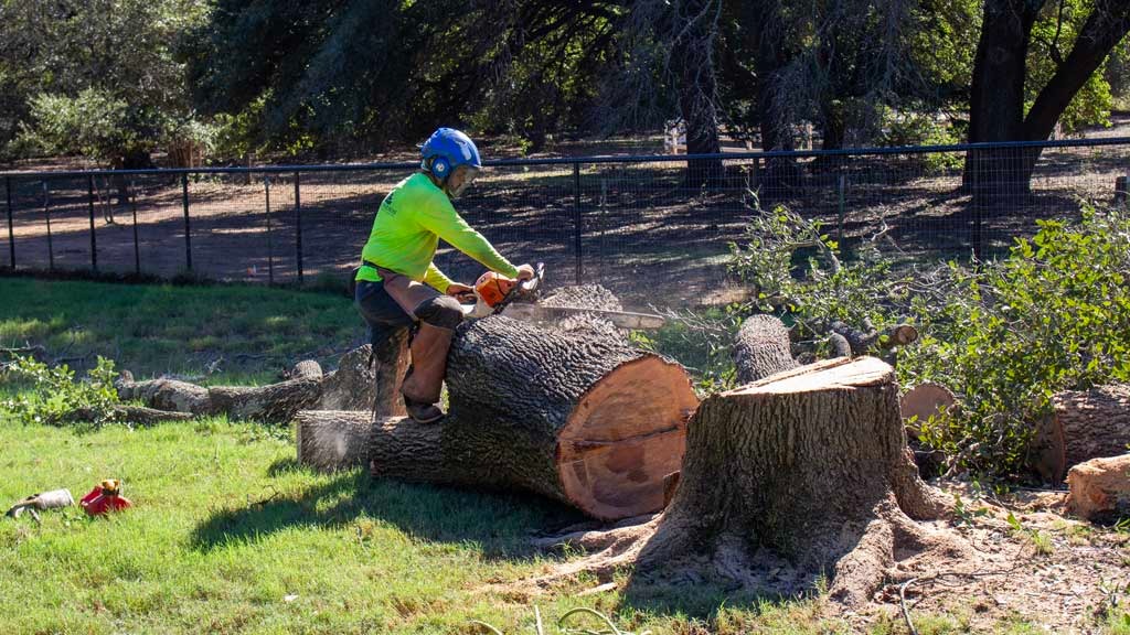 ELIAS Landscaping Services LLC Image