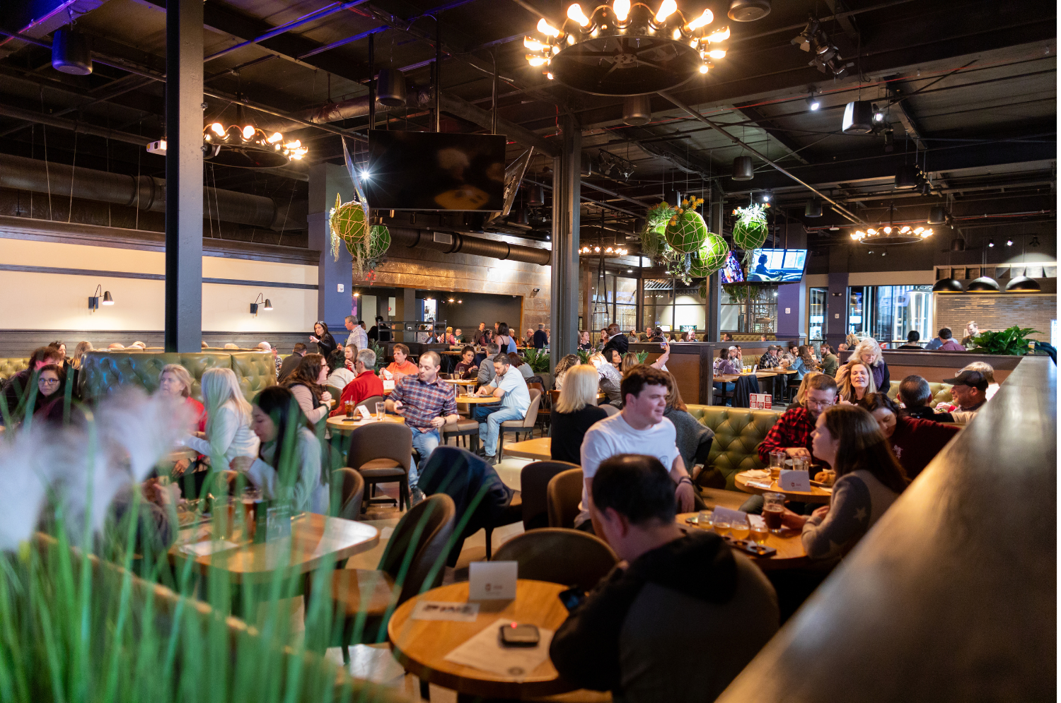 Elicit Brewing Co - Fairfield Image