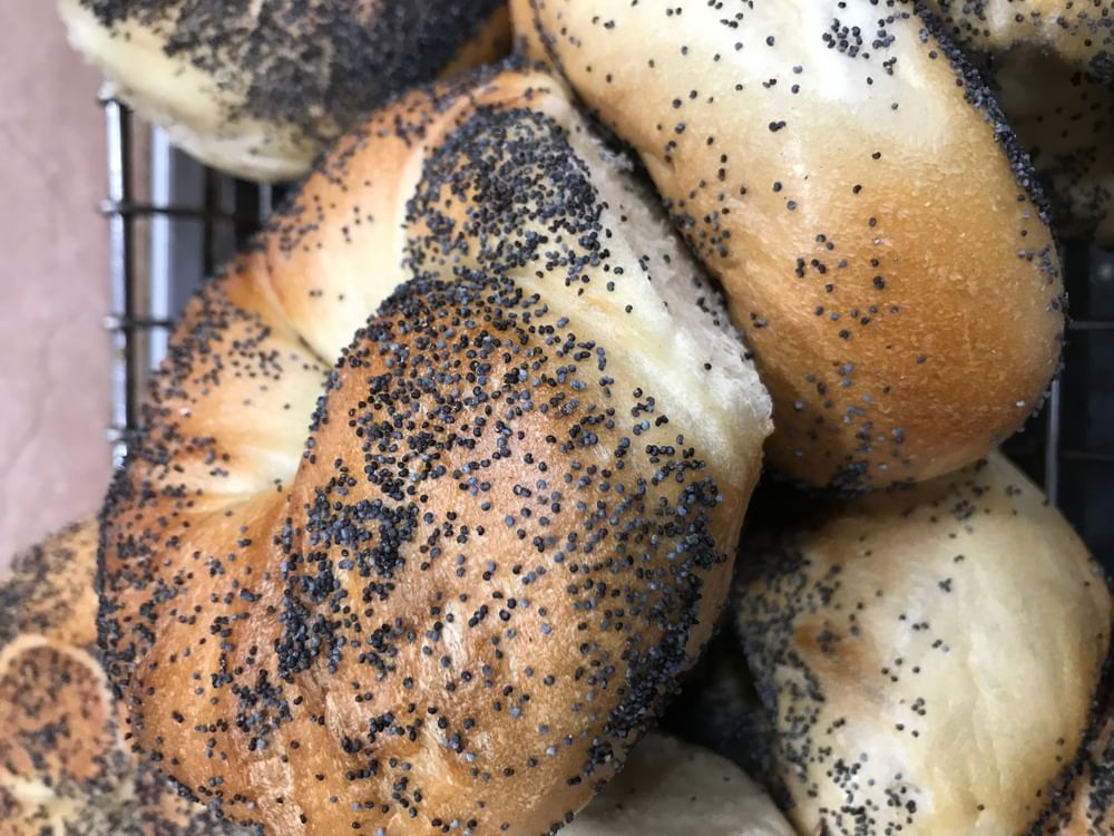 Poppy Bagel