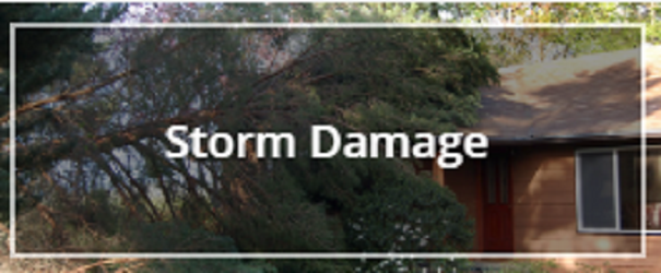 Images American Property Adjusters