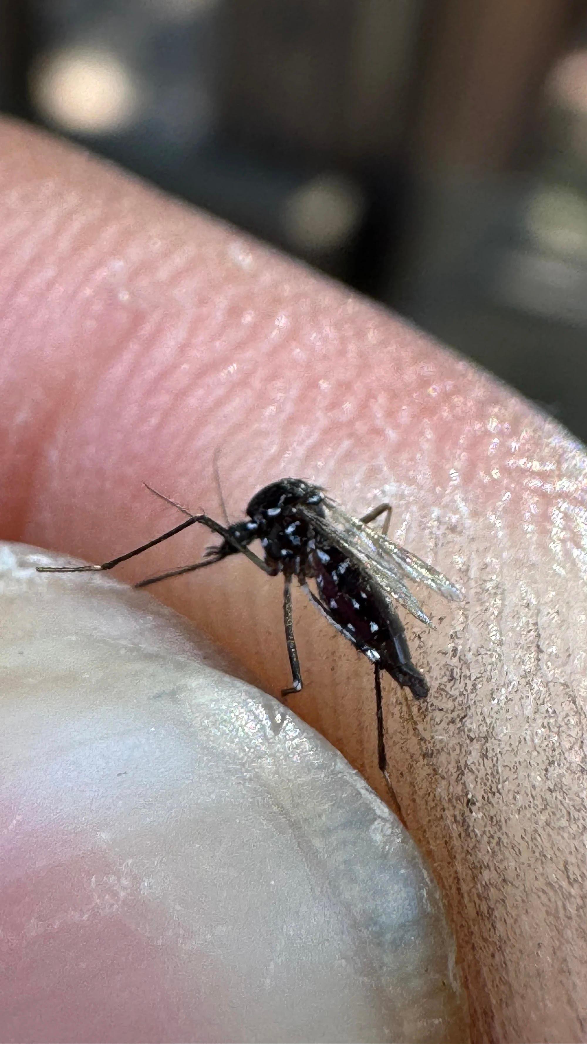 GreenShield Home & Pest Solutions - Richmond Image