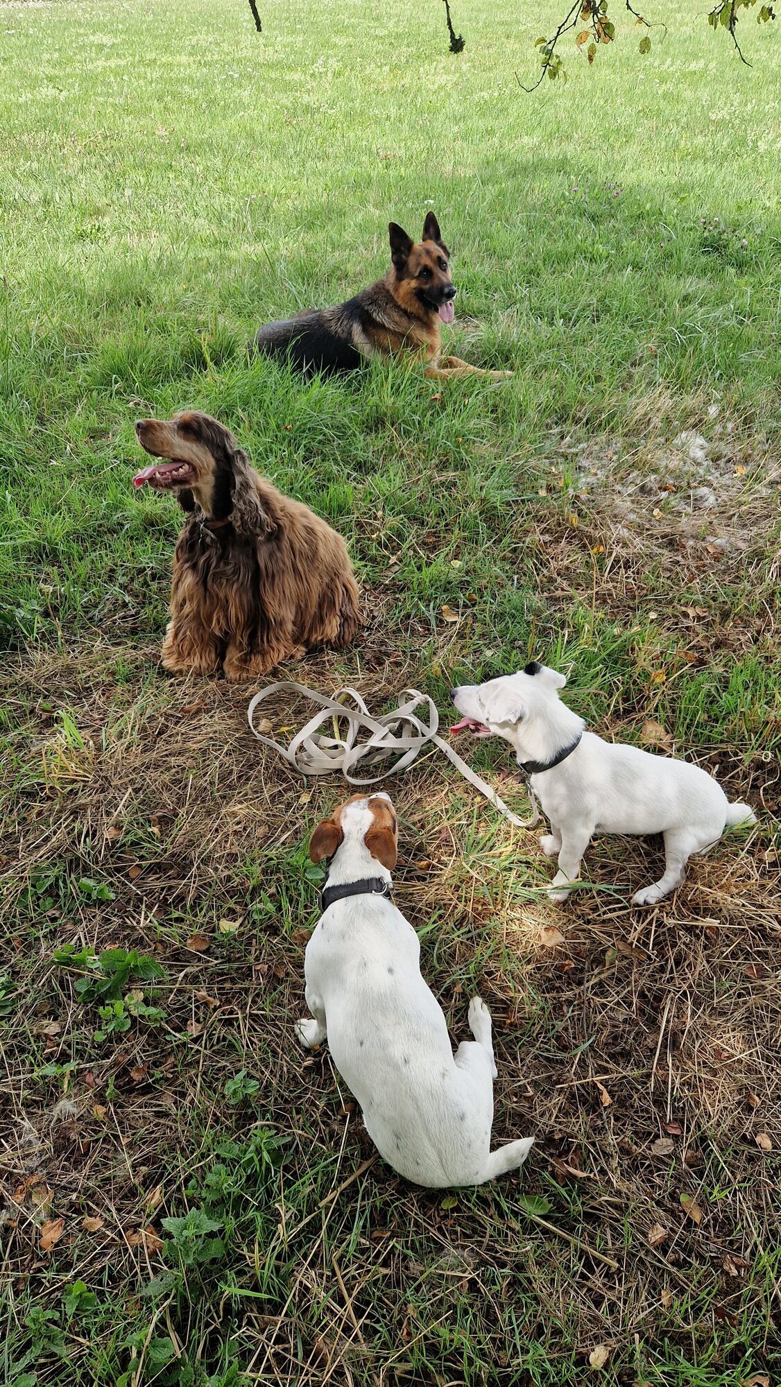 Miniature de la galerie