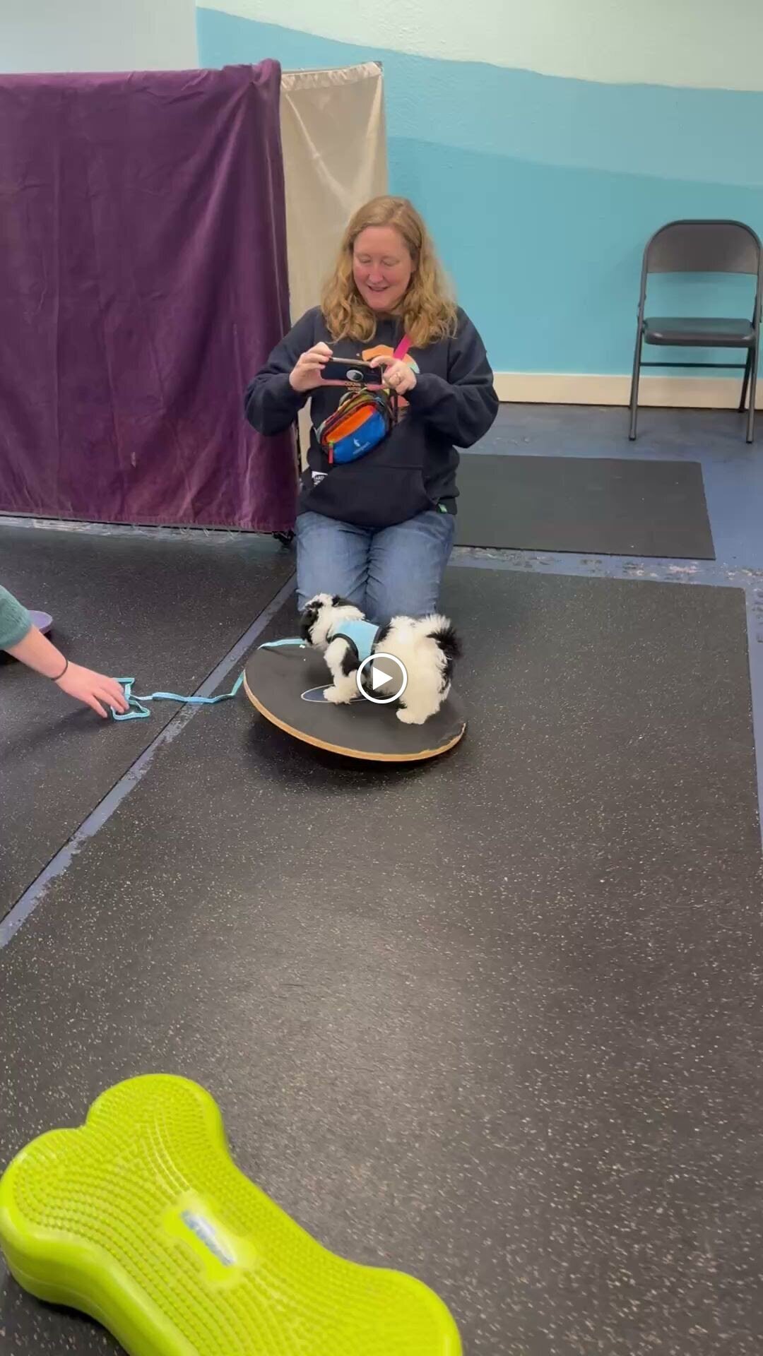 Paws4training | Seattle Dog Training &amp; Puppy Training Logo