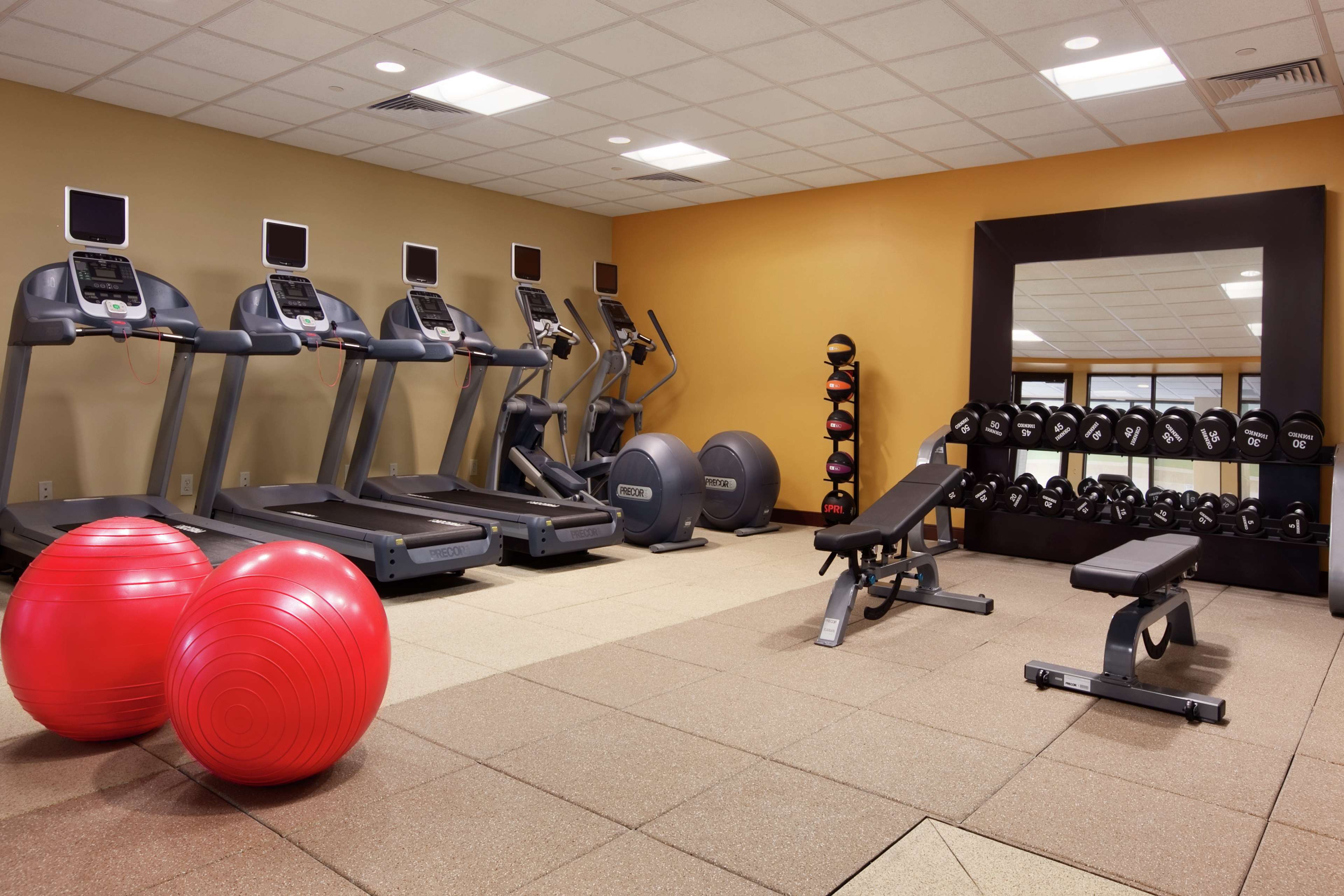 Health club  fitness center  gym