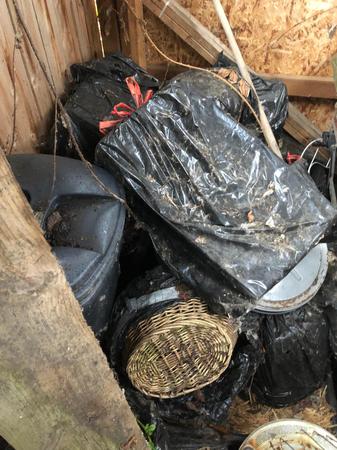 Images G3 Junk Removal