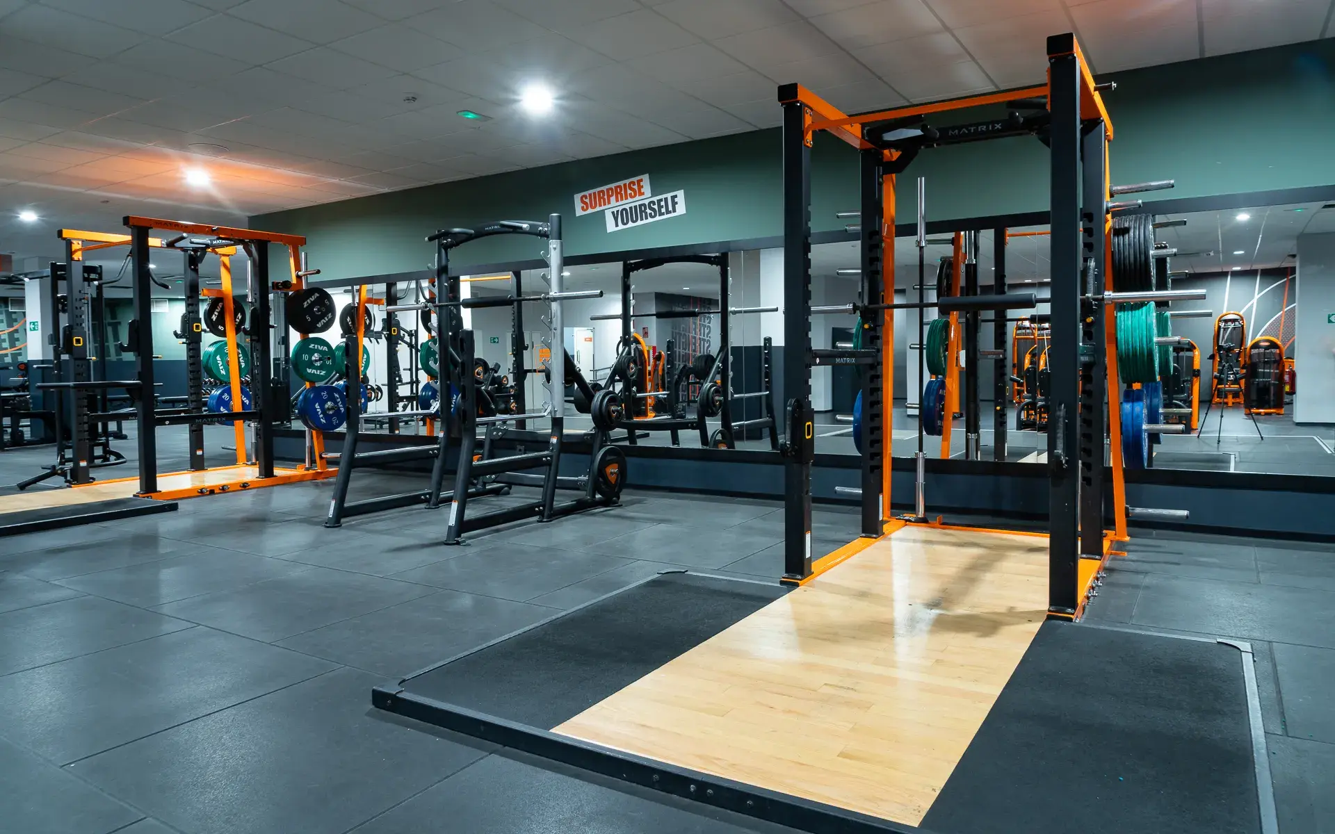 Galería en miniatura