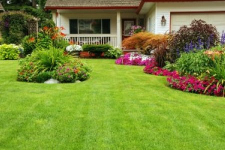 Better Lawns Image