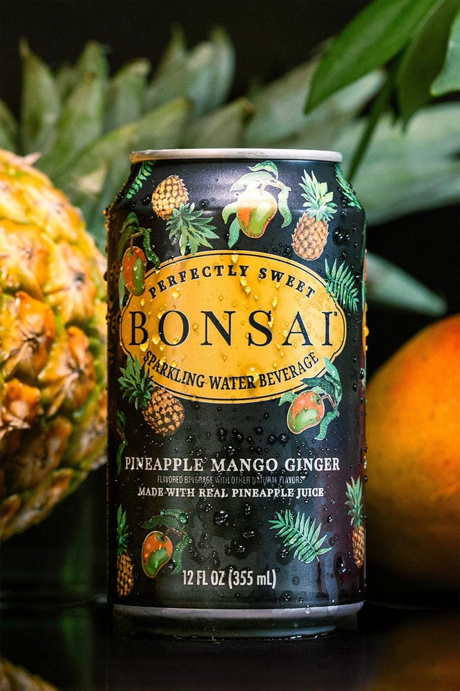 Bonsai Water Pineapple