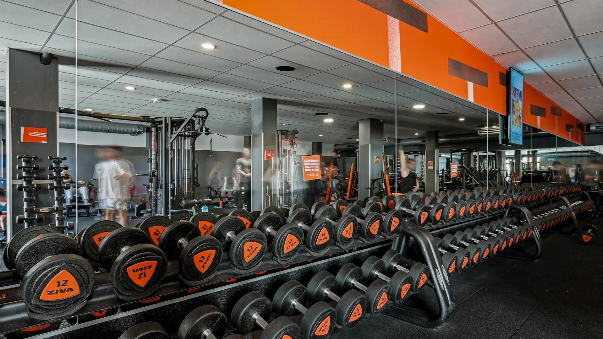 Miniature de la galerie