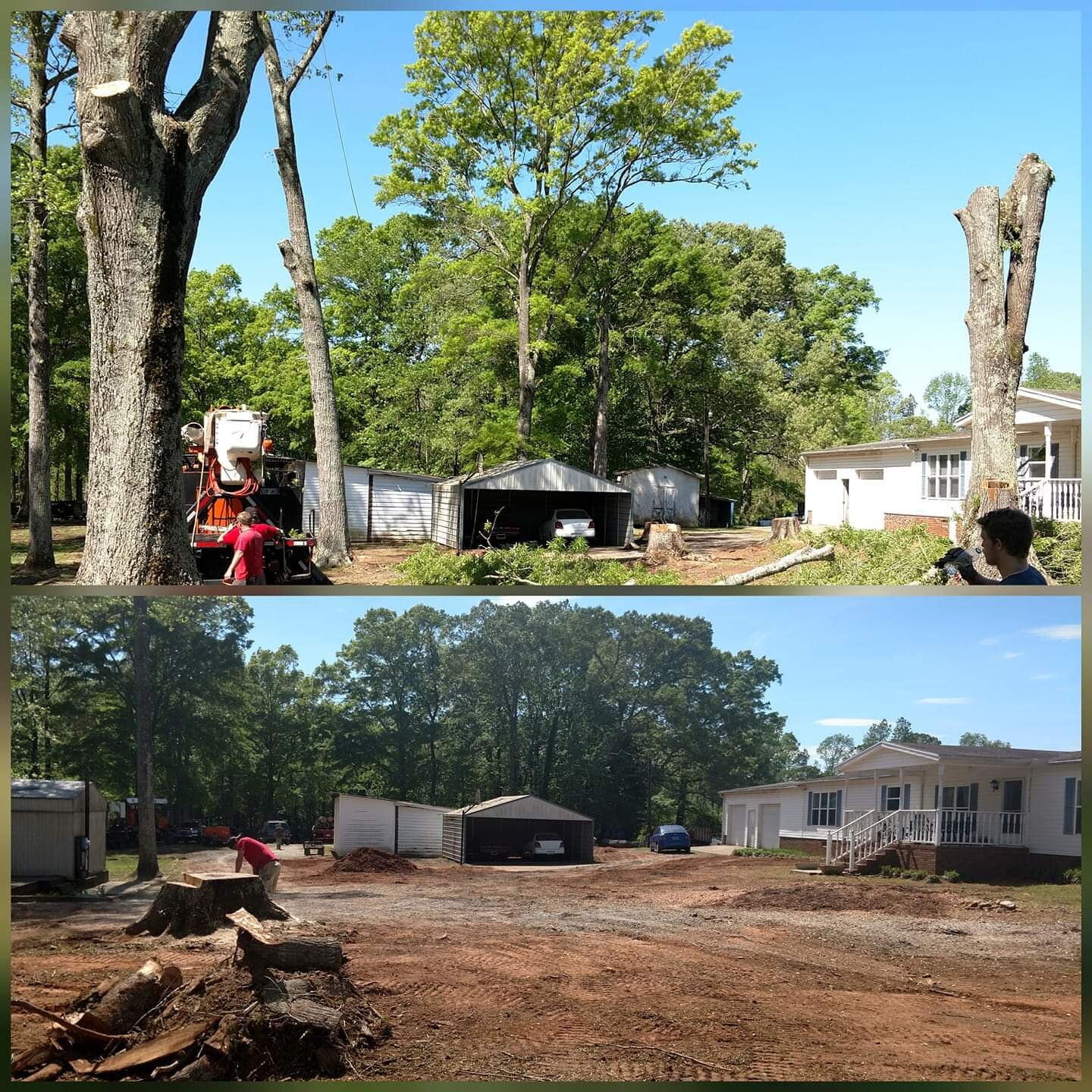 ALPHA TREE CARE LLC Image