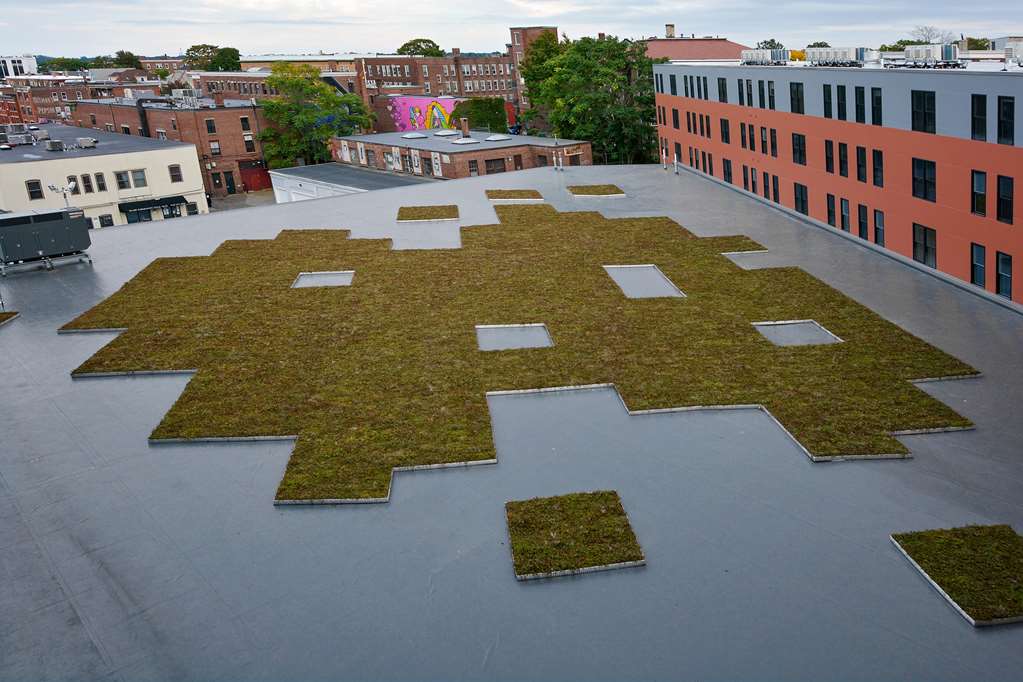 Hampton Inn Salem Boston Image