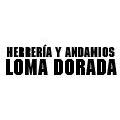 Herrería Y Andamios Loma Dorada Guadalajara