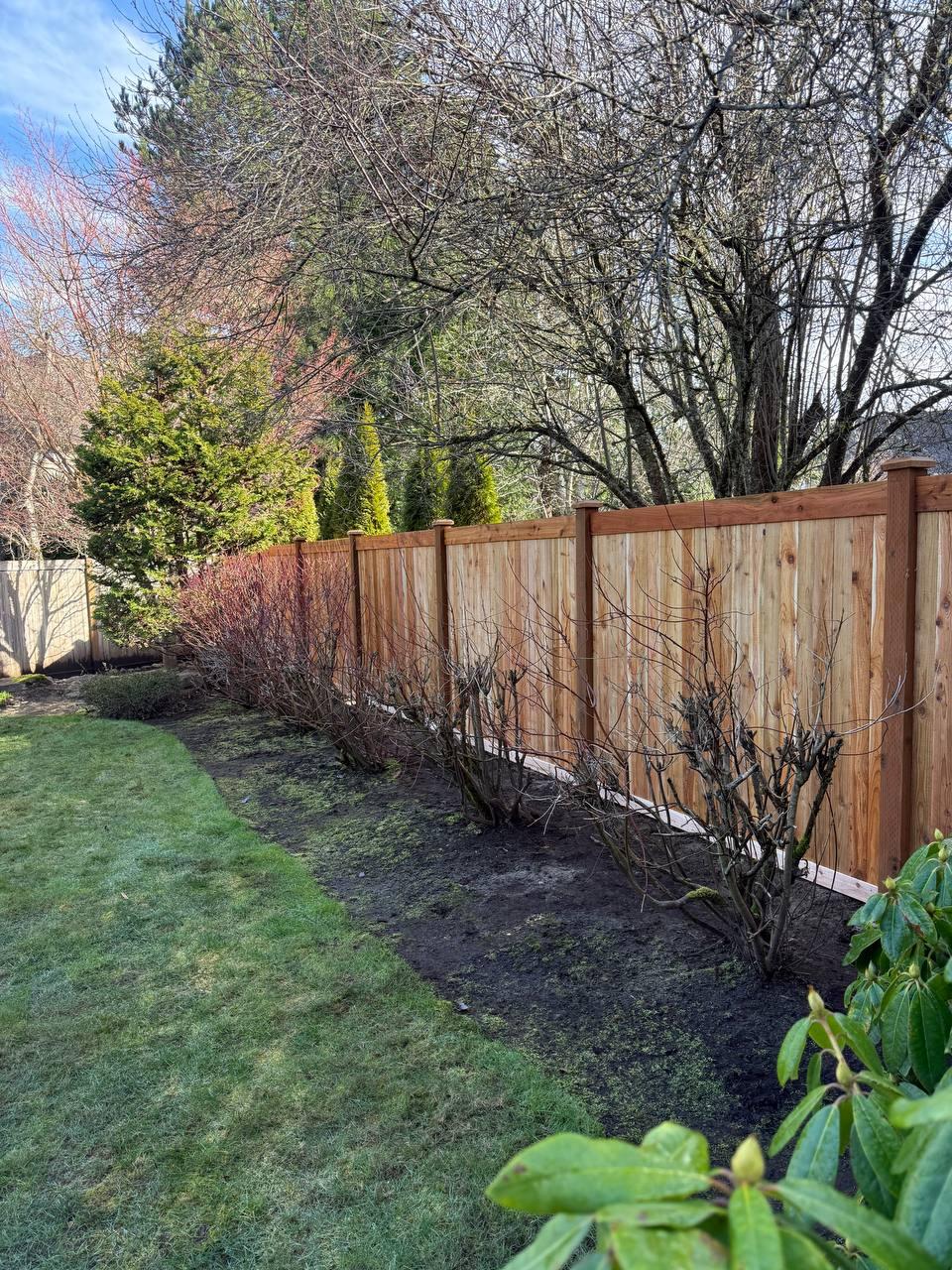 Tidy Beaver Fencing - Fence and Gate Contractor Image