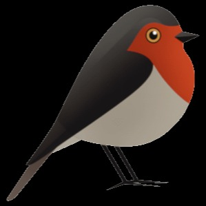 Robin GmbH Logo