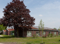 Gallery thumbnail
