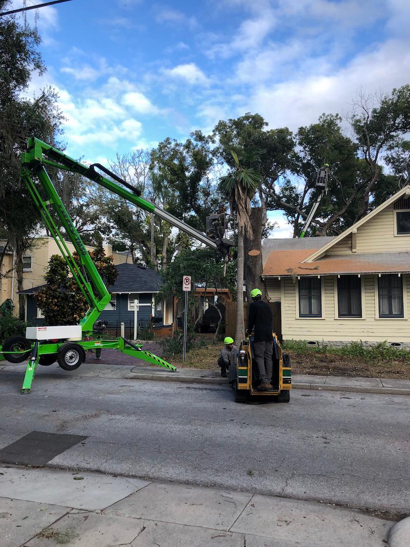 Warner Tree Service Photo