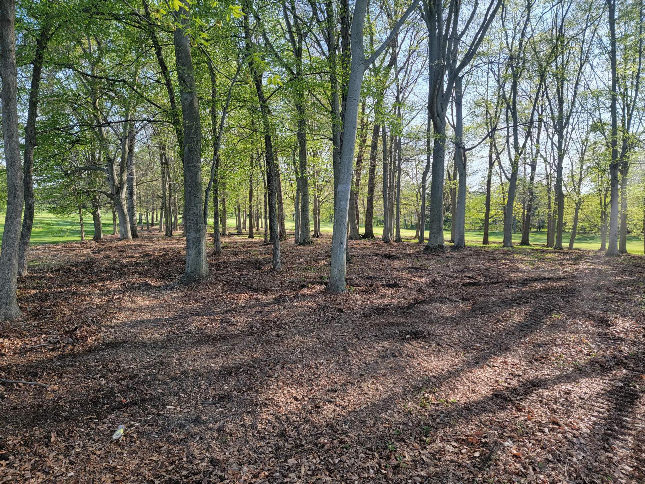 Yarger’s Forestry Services Image