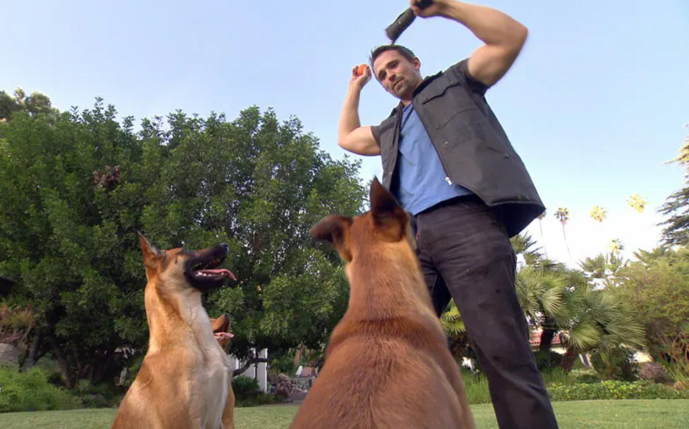 Nate Schoemer Dog Training Image