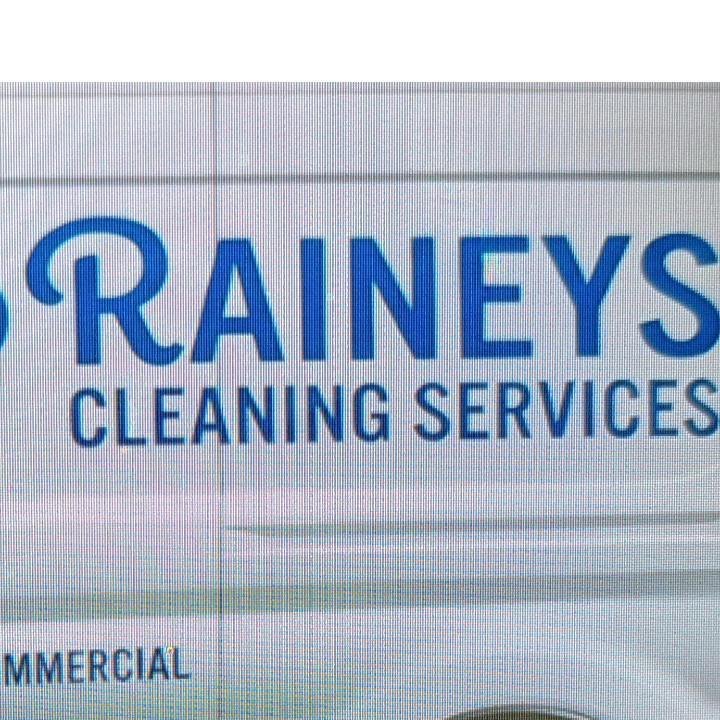 Raineys Cleaning Services Logo