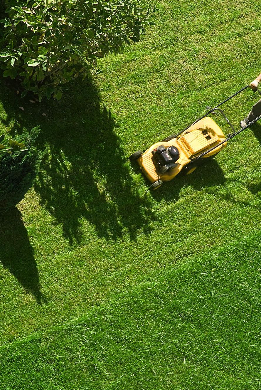 Green Space Maintenance in Geneva