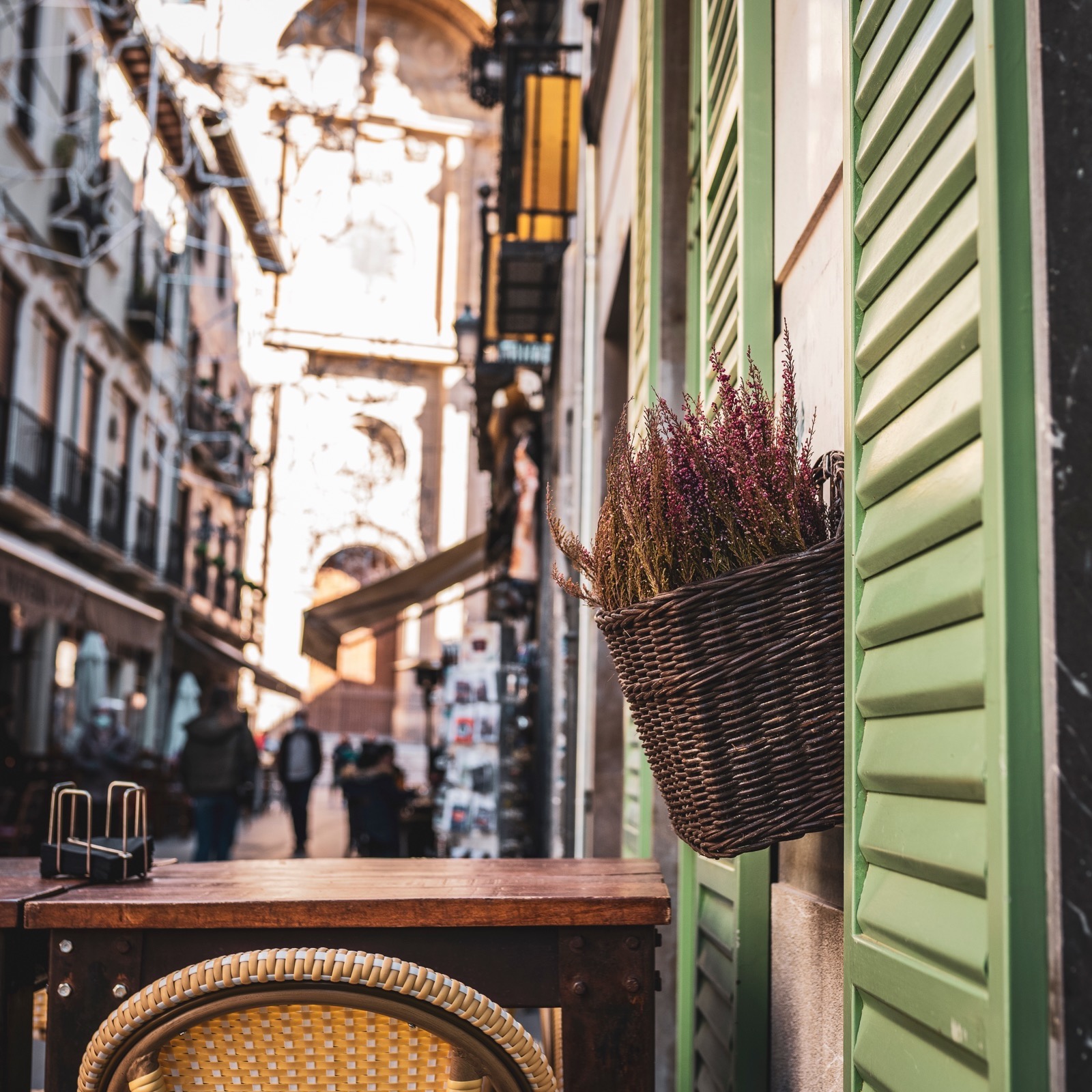 Galería en miniatura