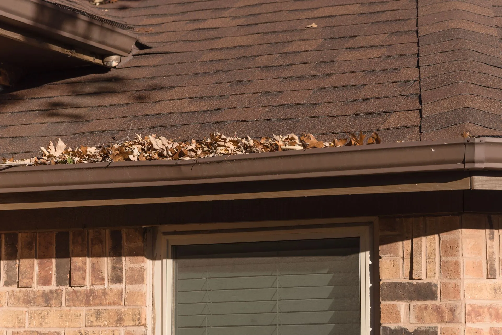 Gutter Cleaning