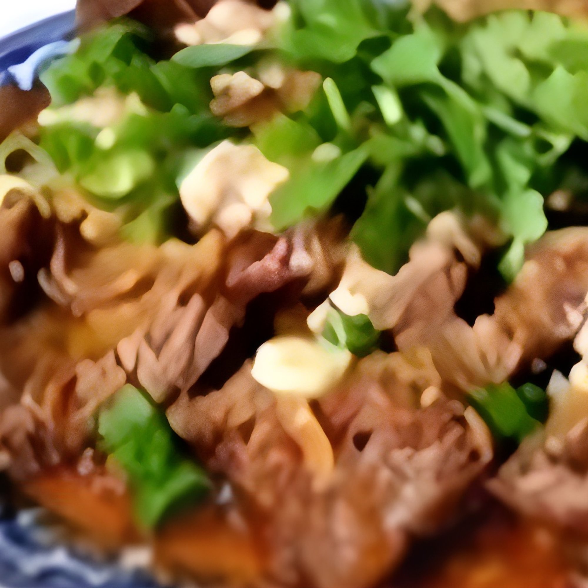 Braised Beef Shank 滷牛键