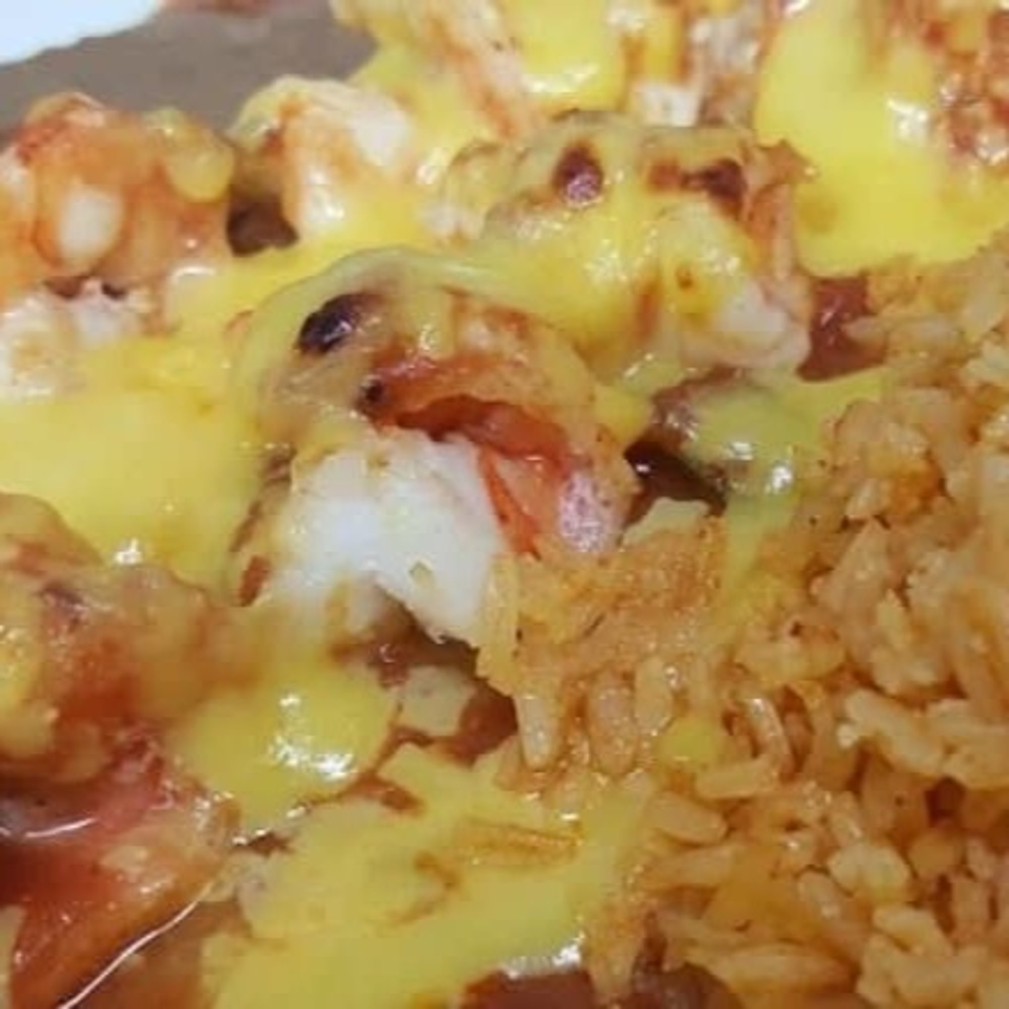 Shrimp Enchilada